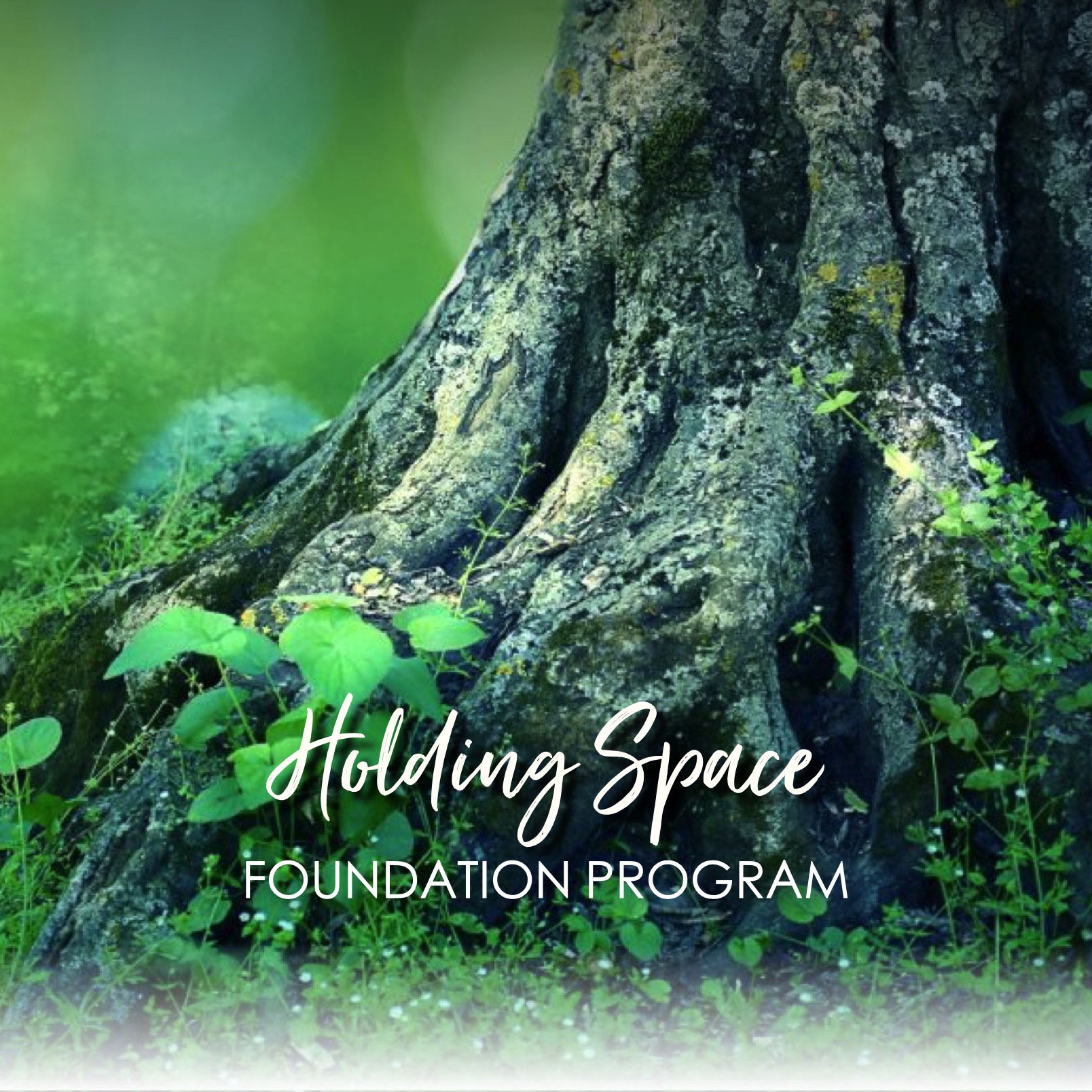 Foundation Program – square button for website