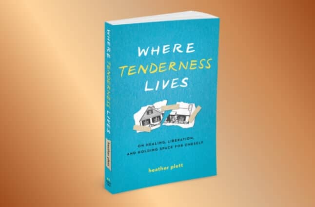 Book-Announce-Where-Tenderness-Lives-2