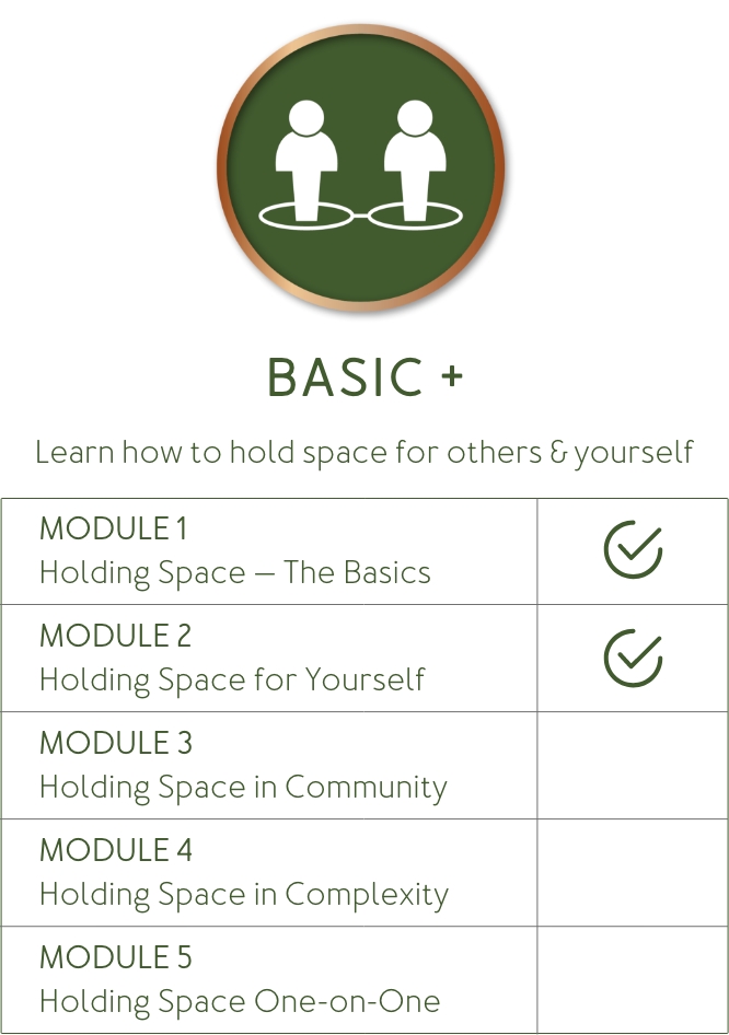 Course Level Basic Plus