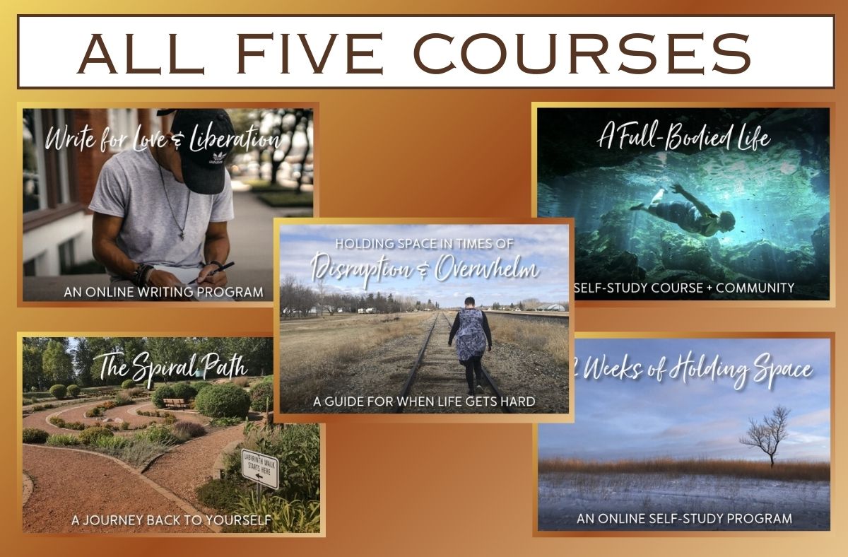 all five courses – small biz